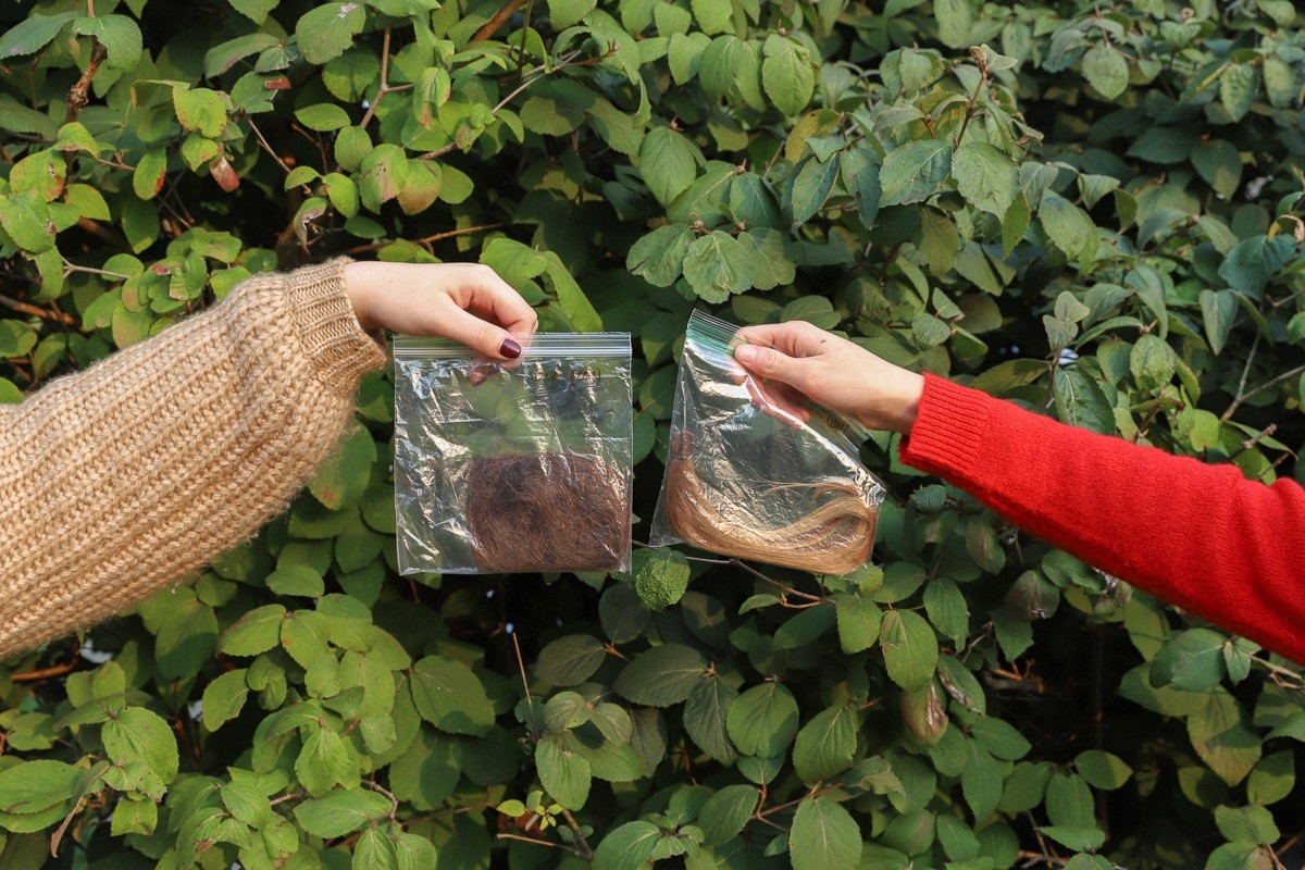 This is test alt text