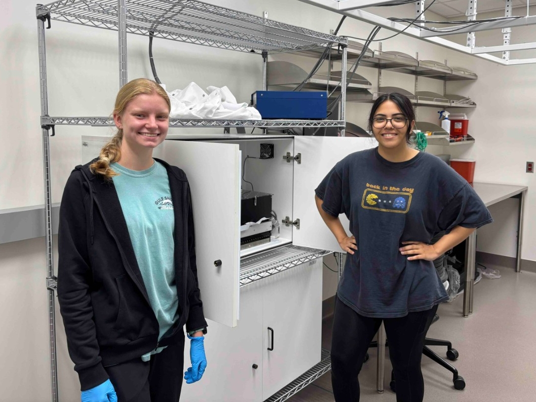 NKU Psychological Science majors conducting research in the lab.