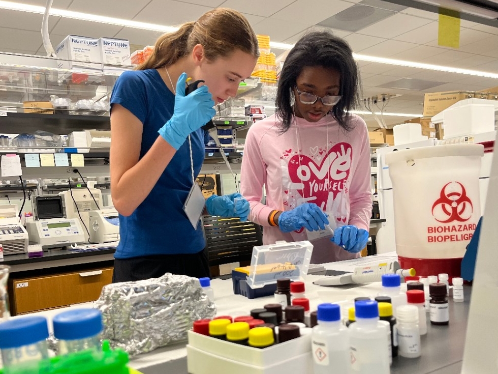 High school-aged students do wear protective gloves while working through a neuroscience experiment in NKU's lab.