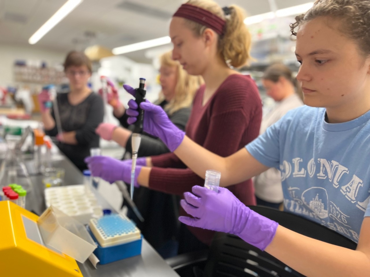 Undergraduate Research in STEM at NKU Dr. Lauren Williamson and students conduct grant-funded research in the lab together.