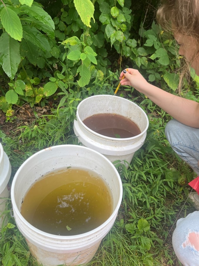 mosquito traps mosquito traps