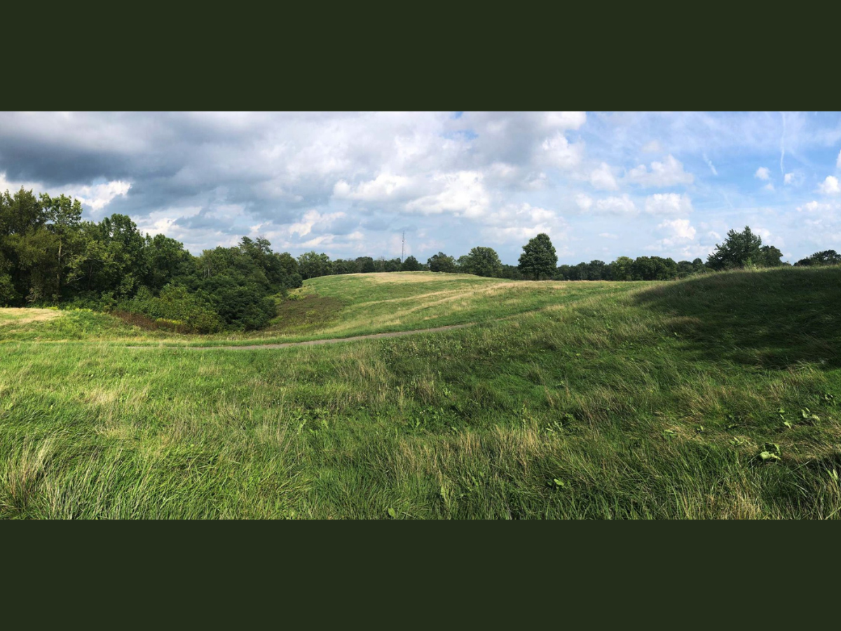 Untitled design - 1 field in kenton county park