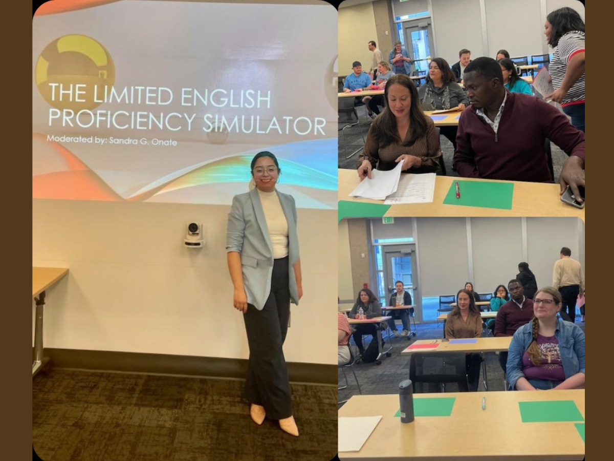 Untitled design - 1 Collage of images from the simulator